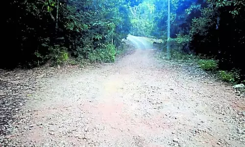 खराब सड़क: लोगों और वाहनों की आवाजाही मुश्किल खराब सड़क: लोगों और वाहनों की आवाजाही मुश्किल