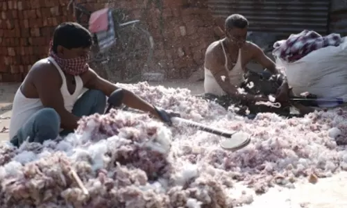 68 करोड़ रुपये के निवेश से कपास की खेती और डिजिटल क्रांति की ओर कदम 68 करोड़ रुपये के निवेश से कपास की खेती और डिजिटल क्रांति की ओर कदम