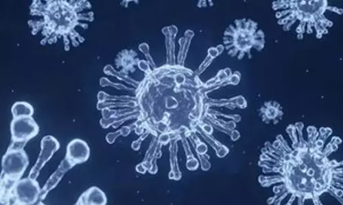 Ethiopia ने पहले मारबर्ग प्रकोप की पुष्टि की, WHO ने सीमा पार जोखिम की चेतावनी दी Ethiopia ने पहले मारबर्ग प्रकोप की पुष्टि की, WHO ने सीमा पार जोखिम की चेतावनी दी