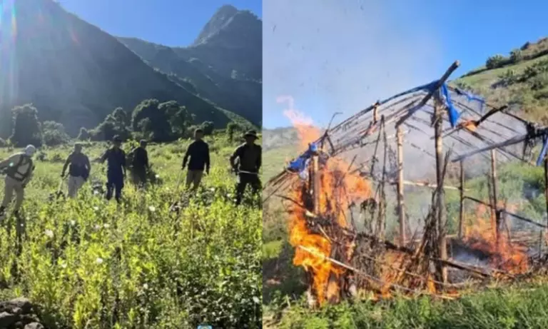 Manipur: पहाड़ी जिलों में 600 एकड़ अफीम के बागान और 64 झोपड़ियाँ नष्ट Manipur: पहाड़ी जिलों में 600 एकड़ अफीम के बागान और 64 झोपड़ियाँ नष्ट