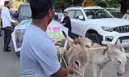नई खरीदी गई Thar में दिक्कत.. गधों को घसीटकर शोरूम तक लाया गया नई खरीदी गई Thar में दिक्कत.. गधों को घसीटकर शोरूम तक लाया गया