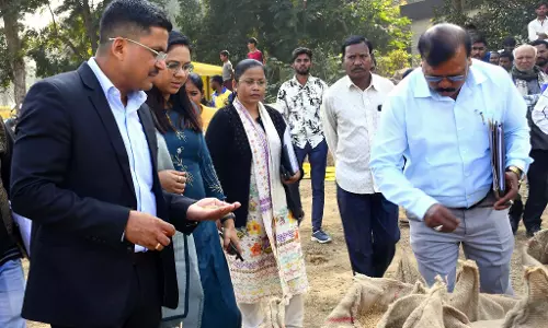 प्रभारी सचिव अवनीश कुमार शरण ने बलरामपुर के धान खरीदी केंद्रों का किया निरीक्षण