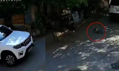 Jodhpur हिट एंड रन: सड़क पर खेल रहे बच्चे की स्कॉर्पियो से कुचलकर मौत