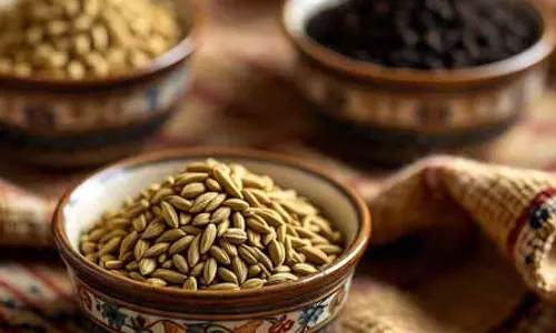 रोगों का काल है इन तीन औषधियों का मिश्रण, बुढ़ापे में भी रहेंगे स्वस्थ और सेहतमंद रोगों का काल है इन तीन औषधियों का मिश्रण, बुढ़ापे में भी रहेंगे स्वस्थ और सेहतमंद