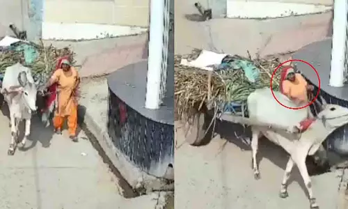 Meerut में 55 वर्षीय महिला की बैलगाड़ी और बगल की दीवार के बीच कुचलकर मौत