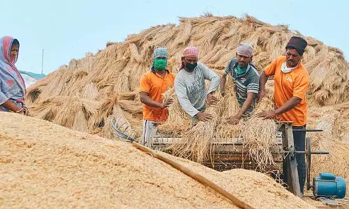 इस बार समर्थन मूल्य पर धान खरीदी किसानों के हित में इस बार समर्थन मूल्य पर धान खरीदी किसानों के हित में