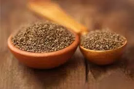 Health: अजवाइन के सबसे प्रभावी स्वास्थ्य लाभ Health: अजवाइन के सबसे प्रभावी स्वास्थ्य लाभ