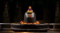 Somwar Puja Rules: शिवलिंग पर भूल कर भी न चढ़ाएं ये चीजें, जानिए धार्मिक और वैज्ञानिक कारण Somwar Puja Rules: शिवलिंग पर भूल कर भी न चढ़ाएं ये चीजें, जानिए धार्मिक और वैज्ञानिक कारण