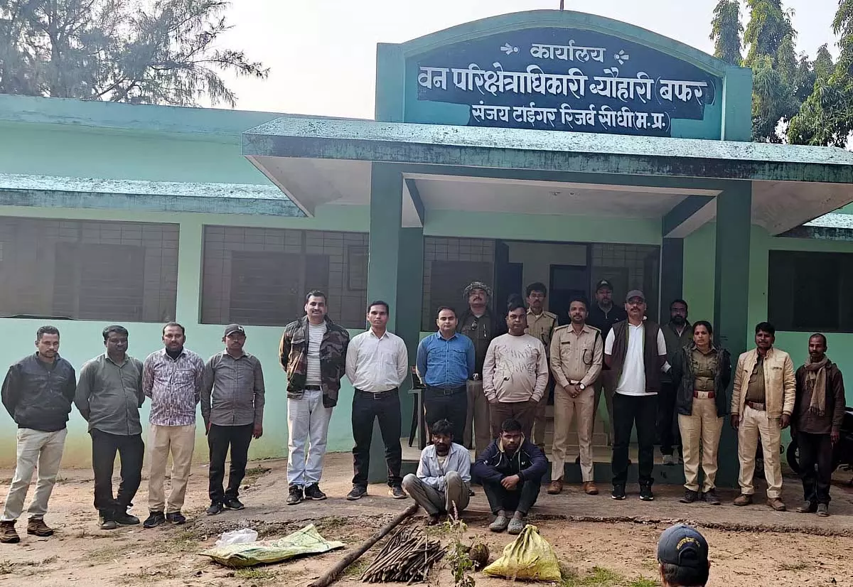 MP : संजय टाइगर रिजर्व में जंगली सूअरों के लिए शिकारियों द्वारा बिछाए गए बिजली के जाल का शिकार हुआ बाघ MP : संजय टाइगर रिजर्व में जंगली सूअरों के लिए शिकारियों द्वारा बिछाए गए बिजली के जाल का शिकार हुआ बाघ