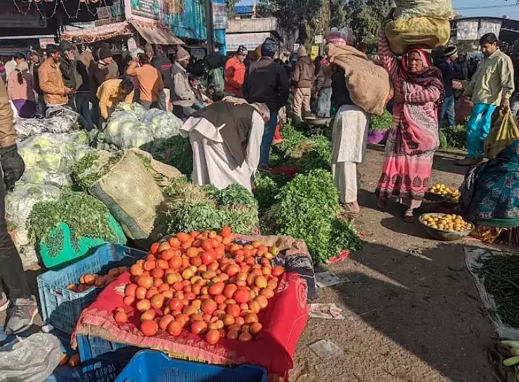 Indore : बारिश और ठंड से हरी सब्जियों की आपूर्ति प्रभावित, कीमतें बढ़ीं Indore : बारिश और ठंड से हरी सब्जियों की आपूर्ति प्रभावित, कीमतें बढ़ीं