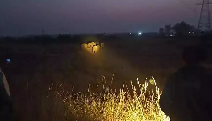 West Medinipur: हाथियों के झुंड से ग्रामीण दहशत में West Medinipur: हाथियों के झुंड से ग्रामीण दहशत में