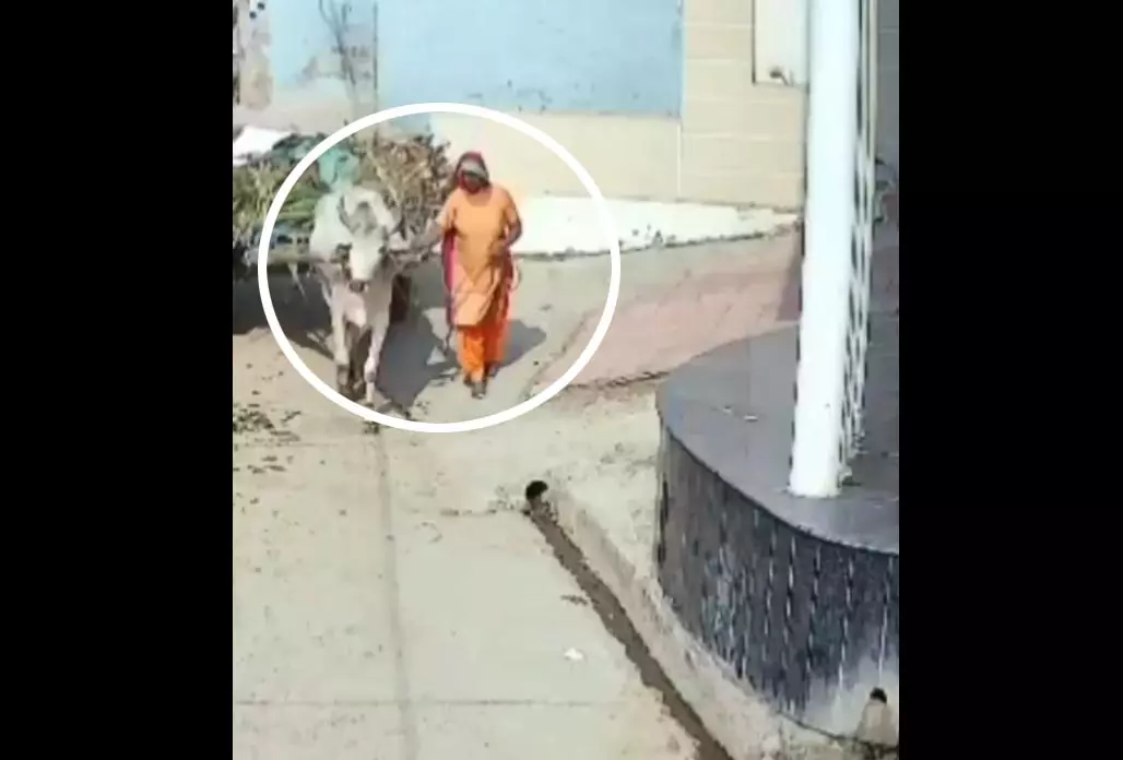 महिला की मौत का LIVE फुटेज...ये मंजर देख सिहर उठे लोग महिला की मौत का LIVE फुटेज...ये मंजर देख सिहर उठे लोग