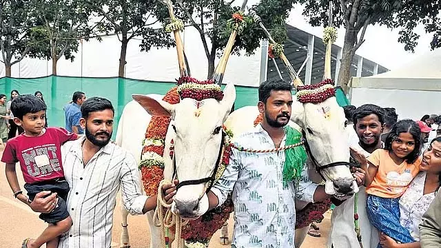 कृषि मेला शुरू: 54.15 लाख लोगों ने देखा, 4.77 करोड़ रुपये का कारोबार कृषि मेला शुरू: 54.15 लाख लोगों ने देखा, 4.77 करोड़ रुपये का कारोबार