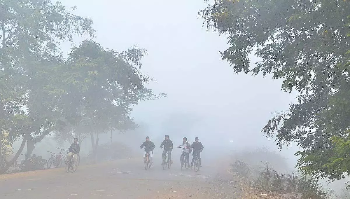 Bhopal में नवंबर की सबसे ठंडी रात, तापमान 5.2°C; 10 ज़िलों में पारा एक अंक में लुढ़का Bhopal में नवंबर की सबसे ठंडी रात, तापमान 5.2°C; 10 ज़िलों में पारा एक अंक में लुढ़का