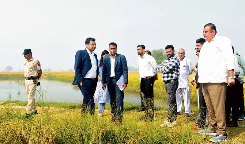 Haryana : खेतों से पानी अभी तक नहीं निकलने से किसान चिंतित Haryana : खेतों से पानी अभी तक नहीं निकलने से किसान चिंतित