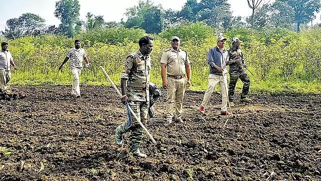 21 बाघ मानव बस्तियों में भटके; पशु चिकित्सकों की कमी, कर्मचारियों की हड़ताल से अभियान बाधित 21 बाघ मानव बस्तियों में भटके; पशु चिकित्सकों की कमी, कर्मचारियों की हड़ताल से अभियान बाधित