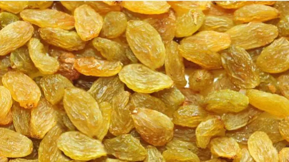 सुबह खाली पेट किशमिश का पानी पीना बेहद फायदेमंद, खिल उठेगा चेहरा, छूमंतर होंगी ये परेशानियां सुबह खाली पेट किशमिश का पानी पीना बेहद फायदेमंद, खिल उठेगा चेहरा, छूमंतर होंगी ये परेशानियां