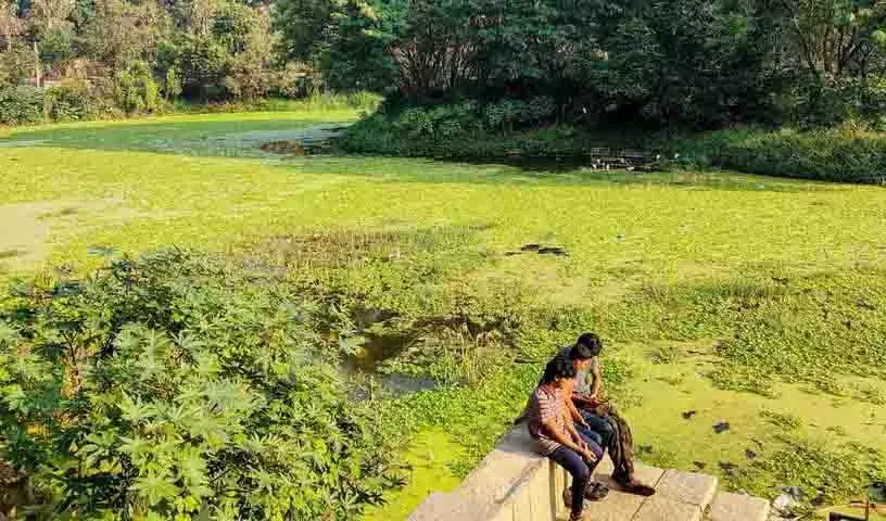 कृष्ण कंठ पार्क में उपेक्षित जल निकाय और फैलते आक्रामक पौधों की समस्या कृष्ण कंठ पार्क में उपेक्षित जल निकाय और फैलते आक्रामक पौधों की समस्या