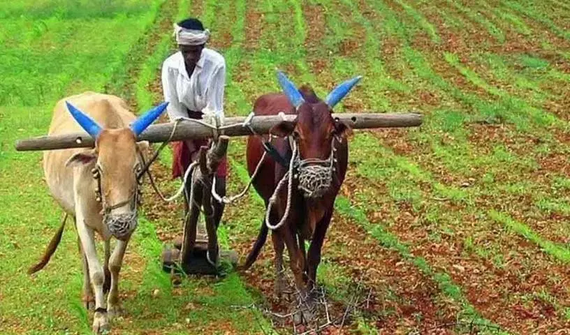 AP सरकार की किसानों के लिए खुशखबरी.. इस महीने की 19 तारीख को खाते में पैसा! AP सरकार की किसानों के लिए खुशखबरी.. इस महीने की 19 तारीख को खाते में पैसा!