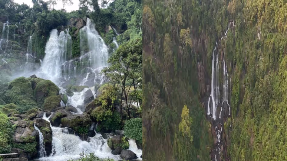 Assam के इस छिपे हुए झरने को बाहुबली का सपना क्यों कहा जा सकता है Assam के इस छिपे हुए झरने को बाहुबली का सपना क्यों कहा जा सकता है