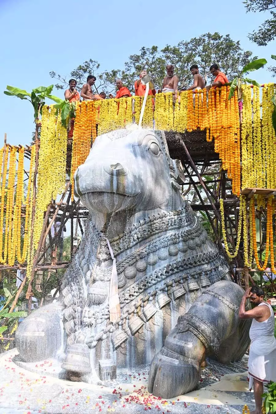 Chamundi पहाड़ी पर पांच सौ साल पुरानी अखंड नंदी प्रतिमा का महाभिषेक समारोह Chamundi पहाड़ी पर पांच सौ साल पुरानी अखंड नंदी प्रतिमा का महाभिषेक समारोह