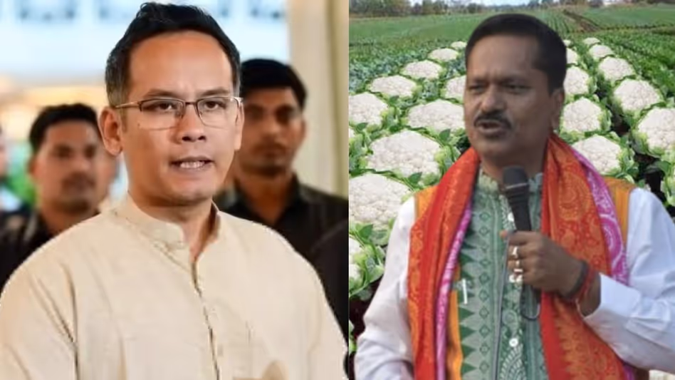 गौरव गोगोई ने Assam के मंत्री के गोभी की खेती वाले पोस्ट की निंदा की गौरव गोगोई ने Assam के मंत्री के गोभी की खेती वाले पोस्ट की निंदा की