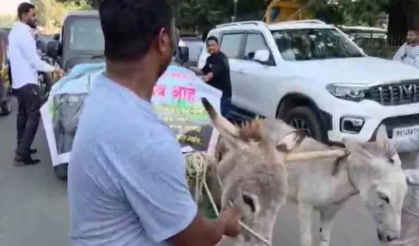 नई खरीदी गई Thar में दिक्कत.. गधों को घसीटकर शोरूम तक लाया गया नई खरीदी गई Thar में दिक्कत.. गधों को घसीटकर शोरूम तक लाया गया