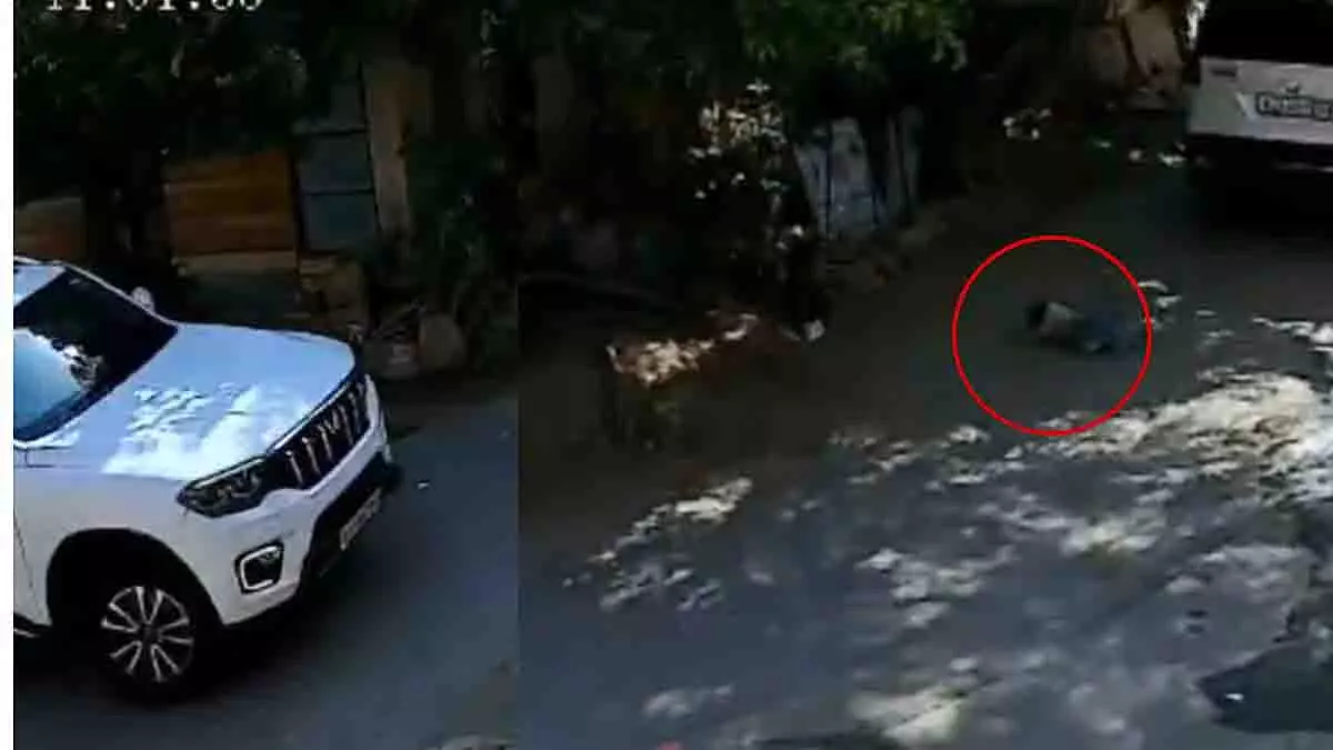 Jodhpur हिट एंड रन: सड़क पर खेल रहे बच्चे की स्कॉर्पियो से कुचलकर मौत Jodhpur हिट एंड रन: सड़क पर खेल रहे बच्चे की स्कॉर्पियो से कुचलकर मौत