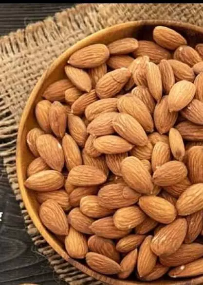 ब्रेन टॉनिक की नहीं पड़ेगी जरूरत, दिमागी सेहत के लिए बादाम है काफी ब्रेन टॉनिक की नहीं पड़ेगी जरूरत, दिमागी सेहत के लिए बादाम है काफी