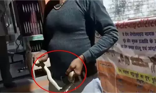 Up New: सांप ने काटा तो युवक जिंदा सांप को पकड़कर अस्पताल पहुंचा Up New: सांप ने काटा तो युवक जिंदा सांप को पकड़कर अस्पताल पहुंचा