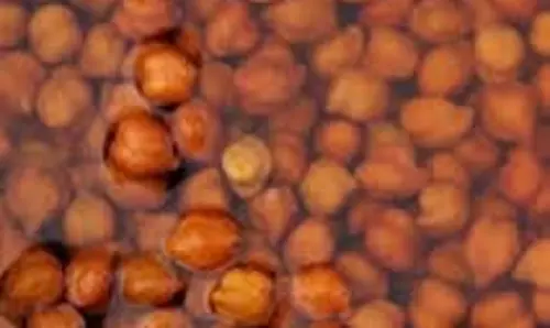 Health: खाली पेट भीगे हुए चने का पानी पीने के स्वास्थ्य लाभ जानें Health: खाली पेट भीगे हुए चने का पानी पीने के स्वास्थ्य लाभ जानें