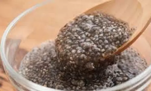 Chia Seeds Benefits: जानिए सर्दियों में  गुनगुने पानी में चिया सीड्स मिलाकर खाने के फायदे