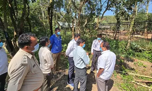 Karnataka : काले हिरणों की मौत में अधिकारियों और डॉक्टरों की लापरवाही का संदेह Karnataka : काले हिरणों की मौत में अधिकारियों और डॉक्टरों की लापरवाही का संदेह