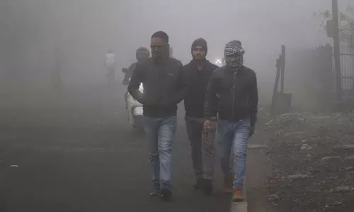 MP : राज्य के आधे हिस्से में शीतलहर की चेतावनी