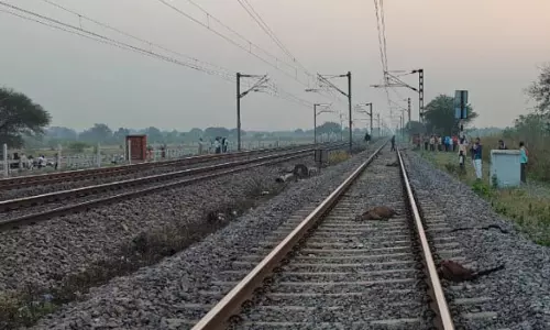 रेलवे ट्रैक में 16 बकरा-बकरी और महिला मृत मिले
