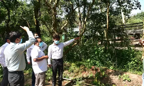 Belgaum : काले हिरणों की मौतों का सिलसिला जारी - क्या है कारण?