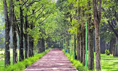 कब्बन पार्क में पुष्प प्रदर्शनी: 27 नवंबर से 7 दिसंबर तक आयोजित कब्बन पार्क में पुष्प प्रदर्शनी: 27 नवंबर से 7 दिसंबर तक आयोजित