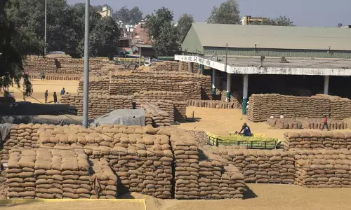 Karnal धान घोटाले में पांचवीं एफआईआर; 10,050 क्विंटल की कमी पाई गई