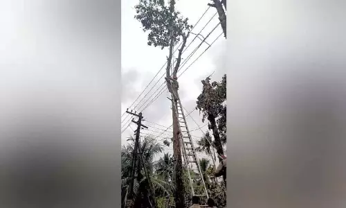 Kerala : अग्निशमन कर्मियों ने बहादुरी से पेड़ पर फंसे एक कर्मचारी को बचाया Kerala : अग्निशमन कर्मियों ने बहादुरी से पेड़ पर फंसे एक कर्मचारी को बचाया
