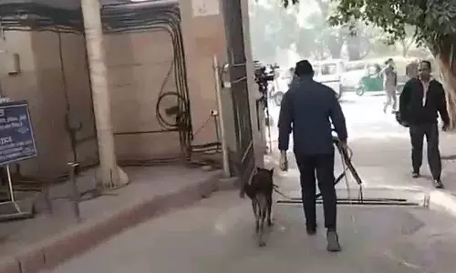 Delhi में दंगा.. अदालतों और स्कूलों को बम से उड़ाने की धमकी.. पुलिस अलर्ट पर Delhi में दंगा.. अदालतों और स्कूलों को बम से उड़ाने की धमकी.. पुलिस अलर्ट पर
