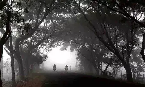 राचकोंडा पुलिस का चेतावनी संदेश: कोहरे में ड्राइविंग सुरक्षित रखें राचकोंडा पुलिस का चेतावनी संदेश: कोहरे में ड्राइविंग सुरक्षित रखें