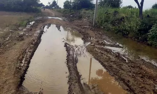 Muddebihal : वनहल्ली नहर संपर्क मार्ग की हालत खराब