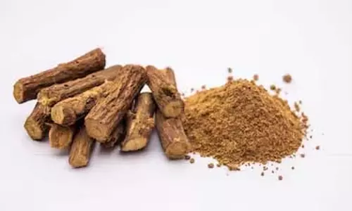 सर्दियों में Health के लिए आवश्यक: तुलसी जैसी शक्तिशाली जड़ी-बूटियाँ सर्दियों में Health के लिए आवश्यक: तुलसी जैसी शक्तिशाली जड़ी-बूटियाँ
