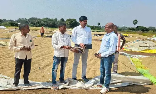 अनाज खरीद में तेजी लाई जाए: RDO वेणुमाधव राव अनाज खरीद में तेजी लाई जाए: RDO वेणुमाधव राव