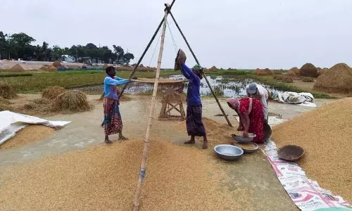 Bangladeshi किसान रोहिंग्या शरणार्थियों के साथ चावल साझा करेंगे amid खाद्य संकट