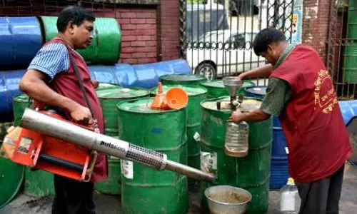 Bangladesh: डेंगू से चार और मौतें, 2025 तक मृतकों की संख्या 340 पार Bangladesh: डेंगू से चार और मौतें, 2025 तक मृतकों की संख्या 340 पार