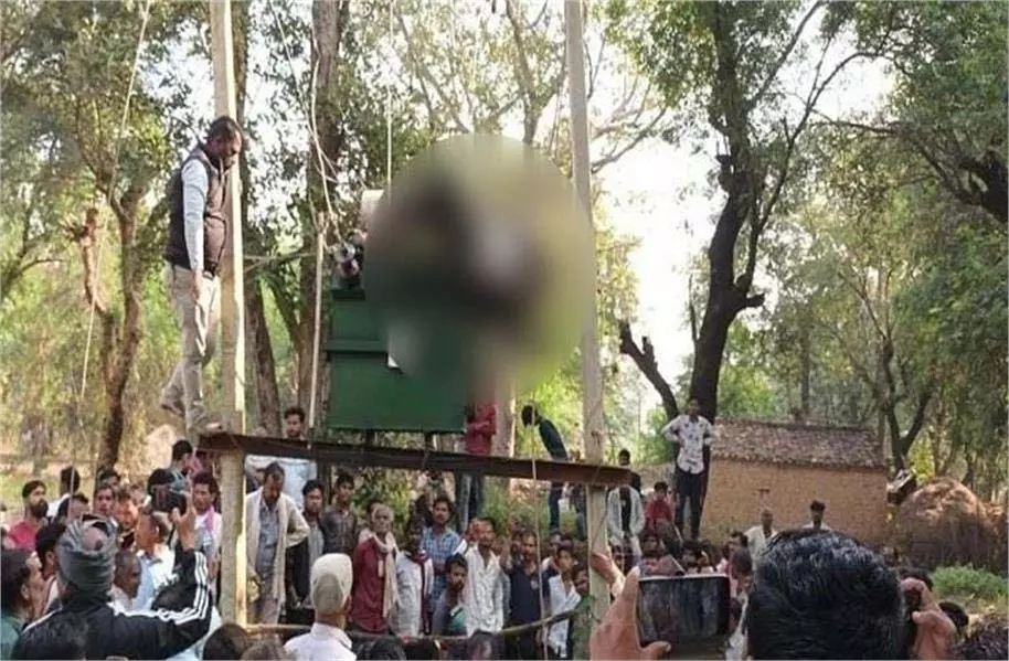 MP News : बिजली विभाग की लापरवाही से कर्मचारी की दर्दनाक मौत, करंट से झुलसा पूरा शरीर MP News : बिजली विभाग की लापरवाही से कर्मचारी की दर्दनाक मौत, करंट से झुलसा पूरा शरीर