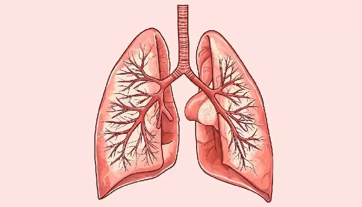 Health: गहरी साँस लेने के व्यायाम के अद्भुत स्वास्थ्य लाभ Health: गहरी साँस लेने के व्यायाम के अद्भुत स्वास्थ्य लाभ