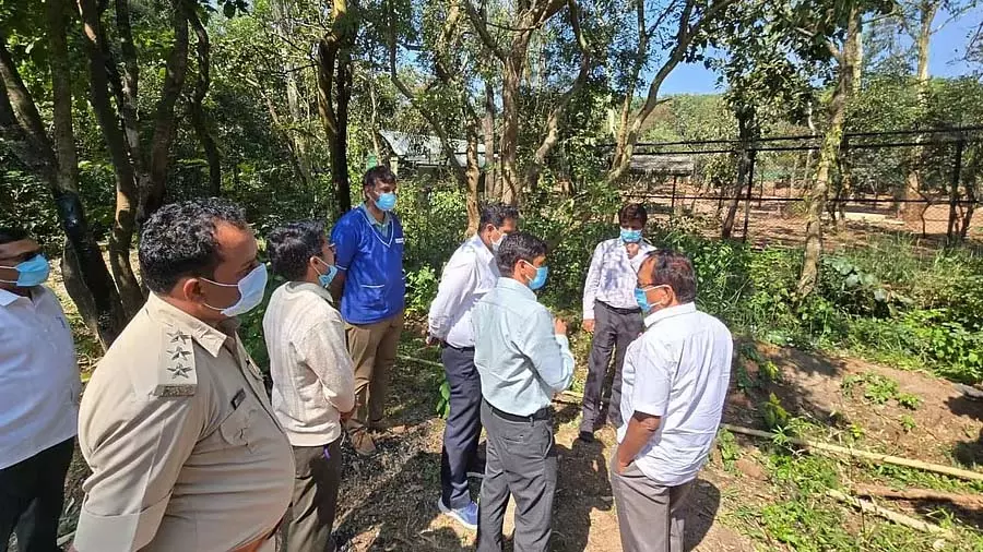 Karnataka : काले हिरणों की मौत में अधिकारियों और डॉक्टरों की लापरवाही का संदेह Karnataka : काले हिरणों की मौत में अधिकारियों और डॉक्टरों की लापरवाही का संदेह