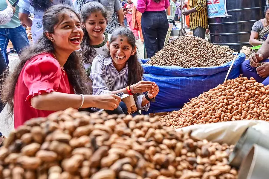 Basavanagudi : इस बार 5 दिवसीय मूंगफली उत्सव Basavanagudi : इस बार 5 दिवसीय मूंगफली उत्सव